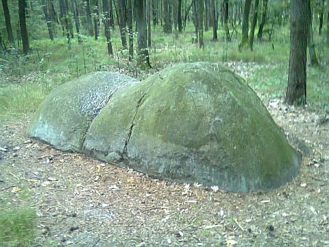 kamien